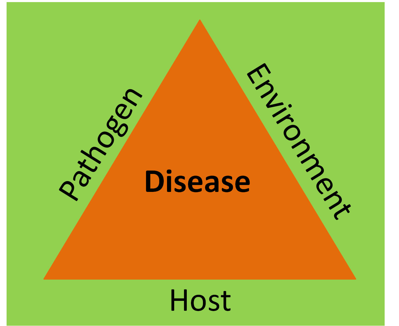 Гарланд треугольник болезнь. Triangle virus.